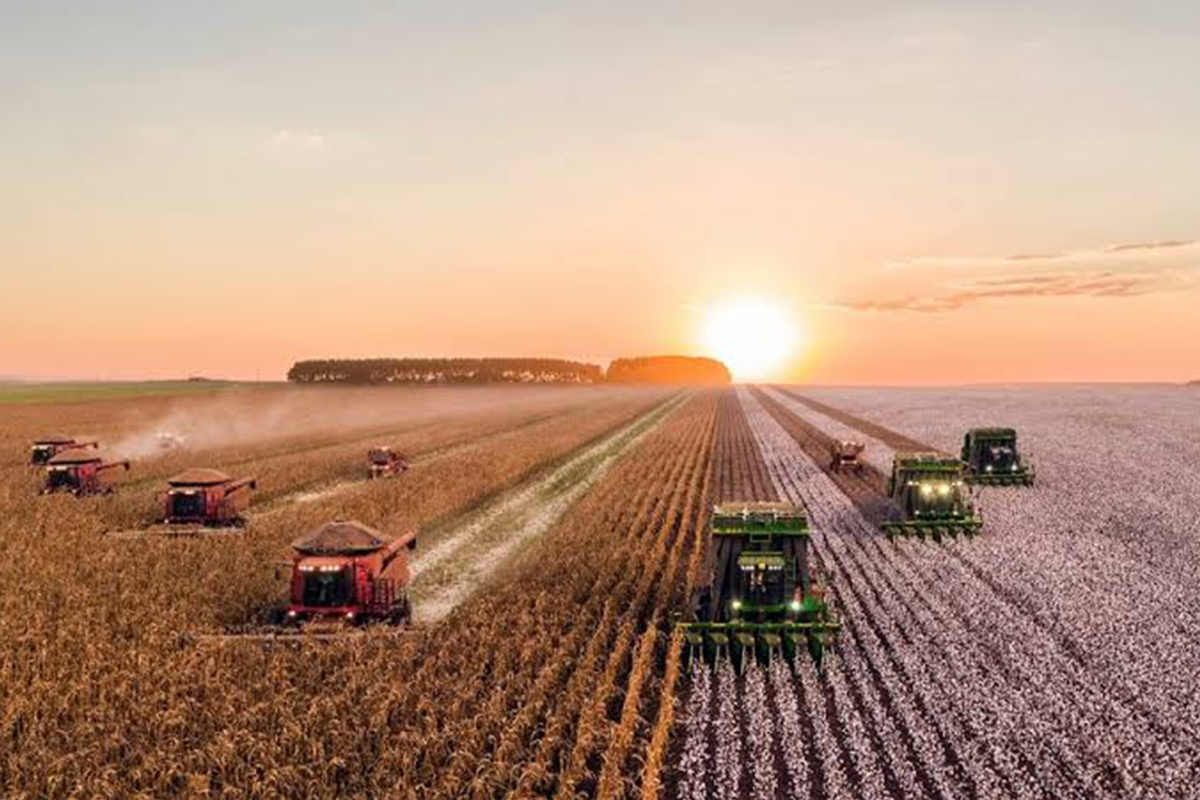 Agricultural banking services